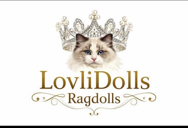 Lovlidolls Ragdolls