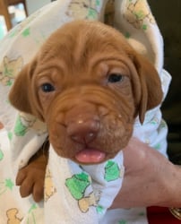 im too cute