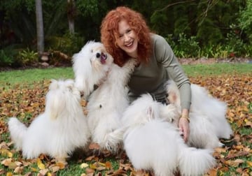 Available Soon Coton de Tulear puppies available 2025