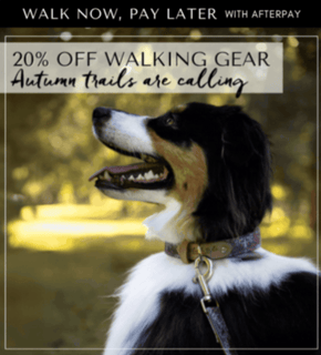 Promotion 20% off Outback Tails Walking Gear 