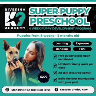 Event SUPER PUPPY PRESCHOOL Event SUPER PUPPY PRESCHOOL