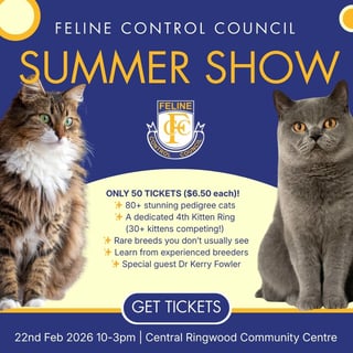 Event FCCV Summer Show 2026