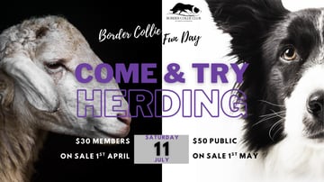 Event Come and Try Herding - Saturday 11 July 2026 Event Come and Try Herding - Saturday 11 July 2026