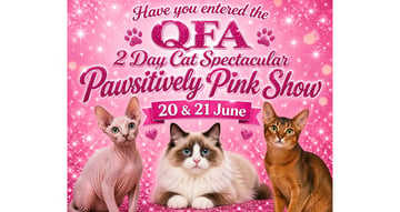 Event  Two Day Cat Spectacular | 
