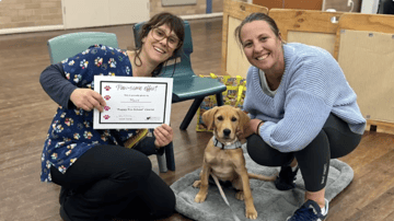 Promotion Puppy Preschool Newcastle: Course Starts Wed 11 Nov