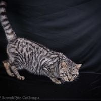 Power my beautiful stud boy