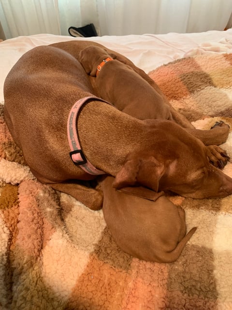 lets curl up and sleep now