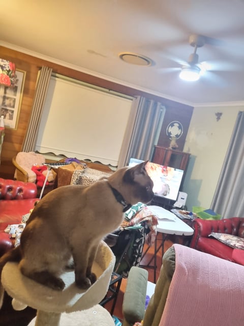 At home