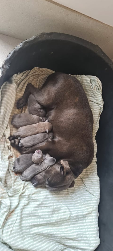 First days