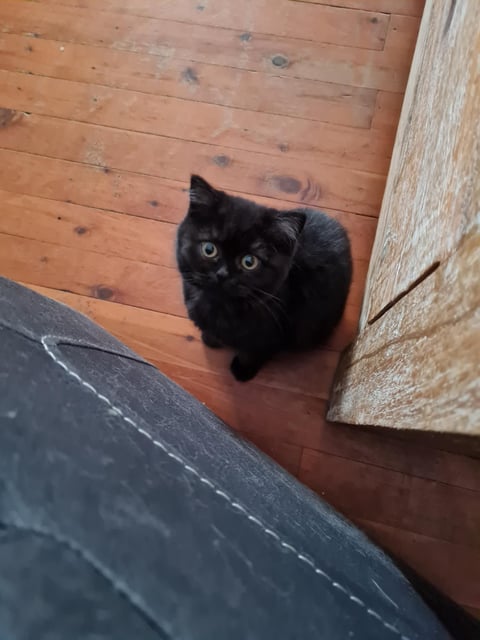 Little girl