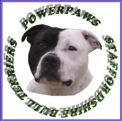  Powerpaws Staffordshire Bull Terriers