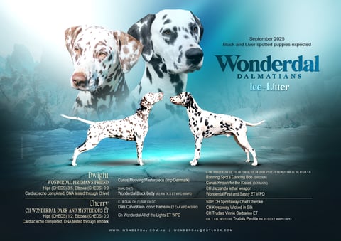 Wonderdal 'Ice' Litter announcement
