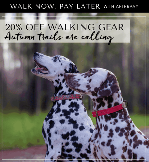 20% off Collars and Leads