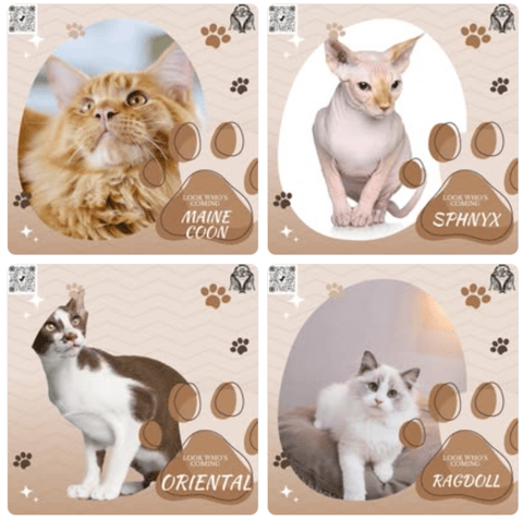 Meet your favourite breeds