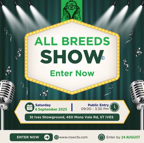 All Breeds Cat Show - Sept 2025