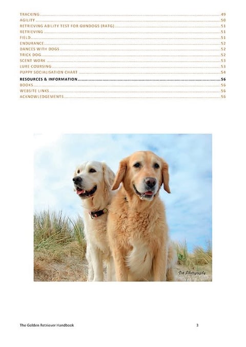 Content Page 2