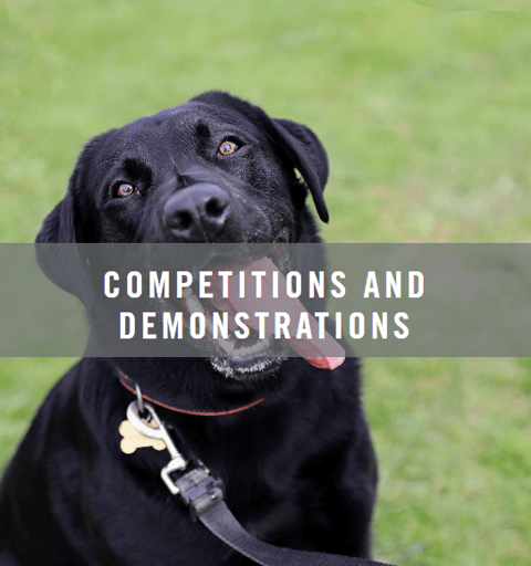 Competitions and Demonstrations