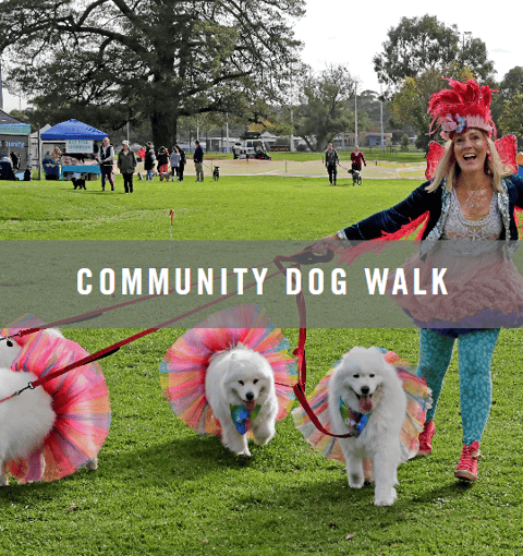 Community Dog Walk