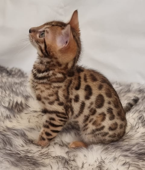 Boy 1
