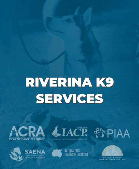 Riverina K9 Services - Puppy School, Griffith