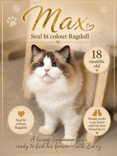 Max