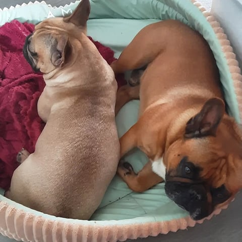 Mum and Dad